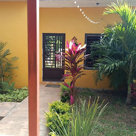 Casa Flores Bacalar Extérieur photo